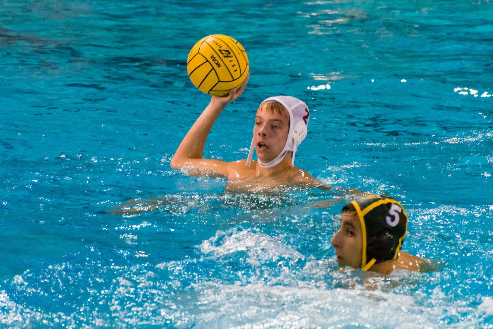 GHS Water Polo Team – Gainesville High School Water Polo